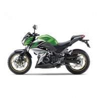 Kawasaki Z250 ABS
