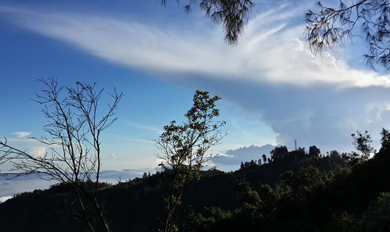 Cara Memaksimalkan Fitur HDR