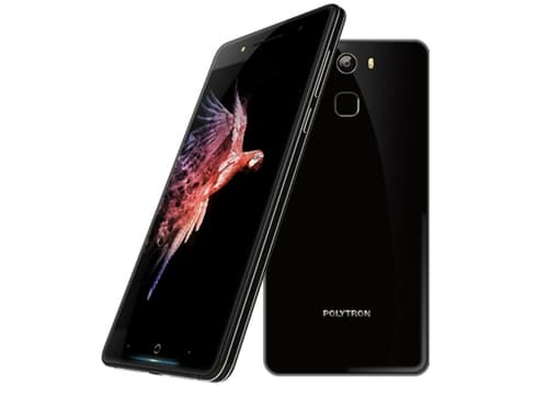 Polytron