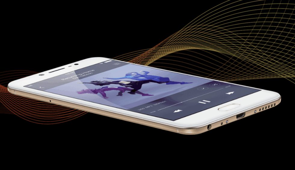 Vivo