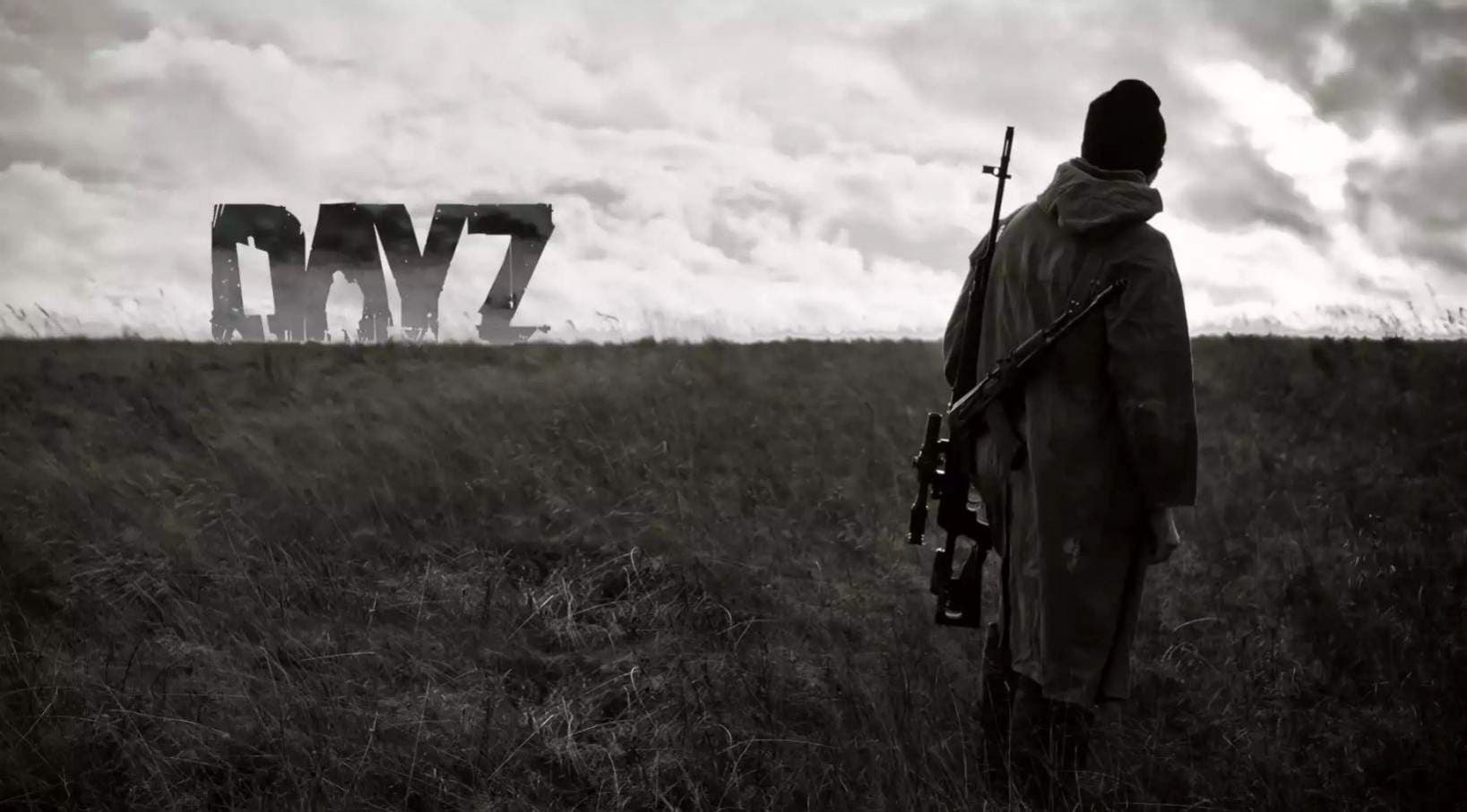 dayz