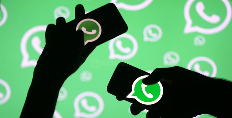 whatsapp vs whatsapp aero