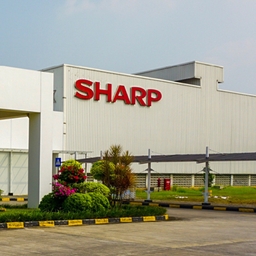 Penjualan Sharp Indonesia di Q1 Tumbuh Hingga 155%