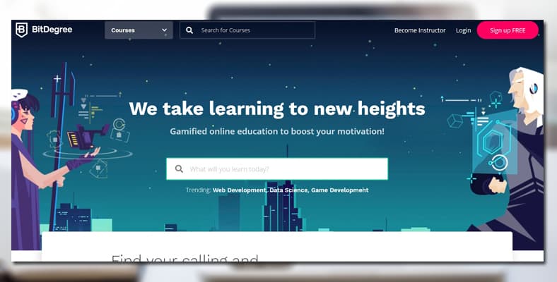 bitdegree