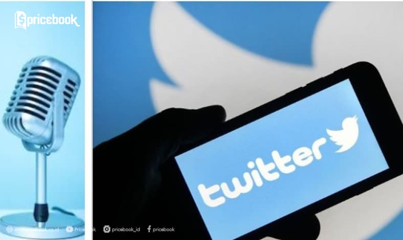 twitter voice