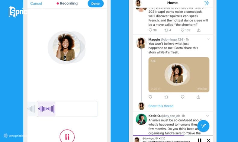 twitter voice