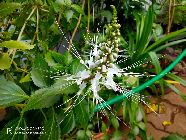 hasil foto realme c17