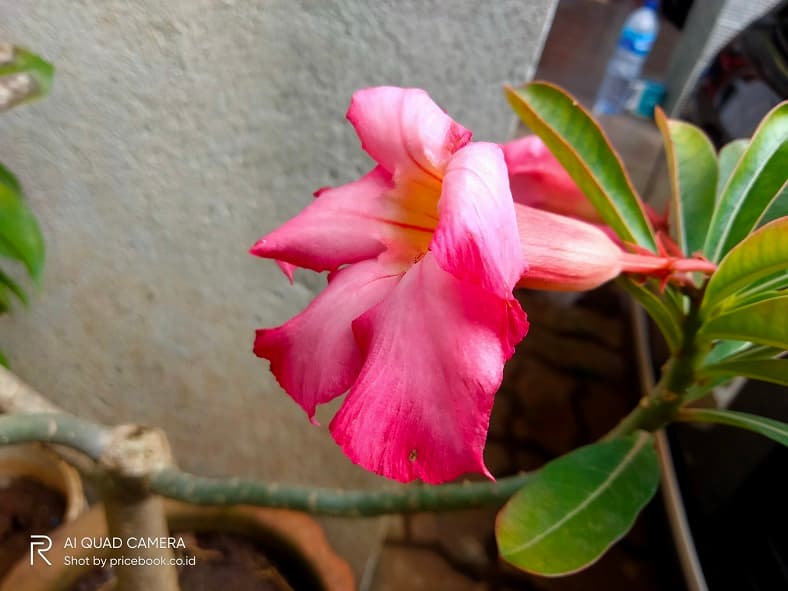 hasil foto realme c17