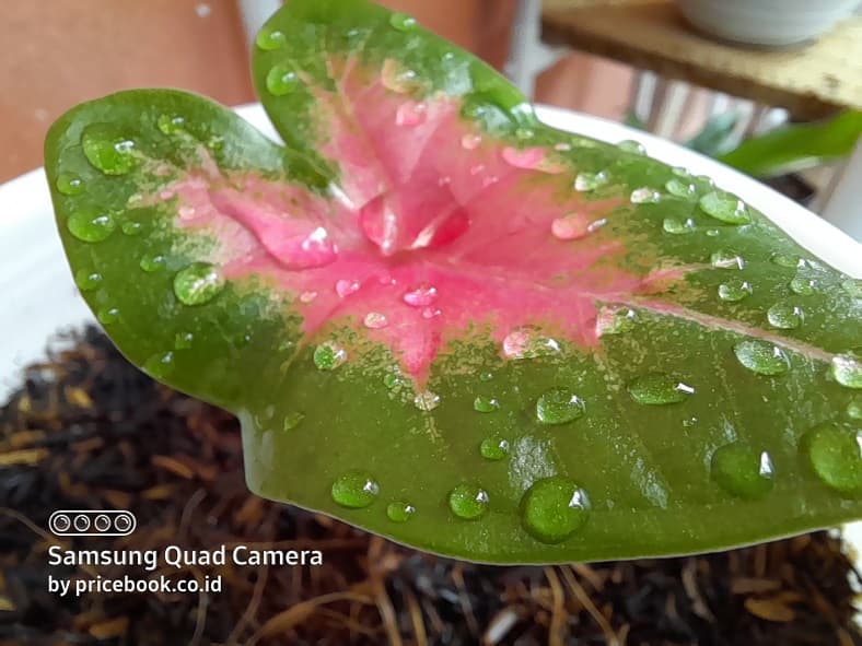 hasil foto galaxy a21s