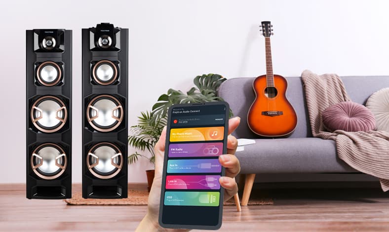 Polytron Audio Connect