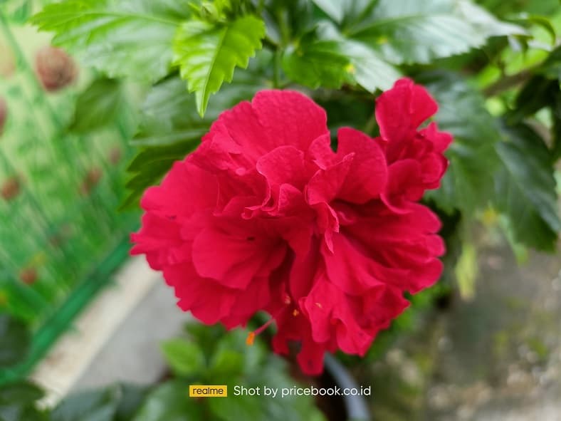 hasil foto realme 8