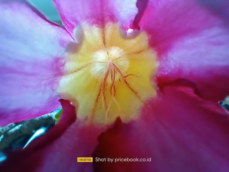 hasil foto realme 8