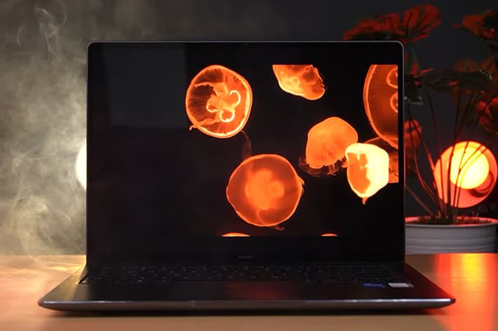 review HUAWEI MateBook 14s