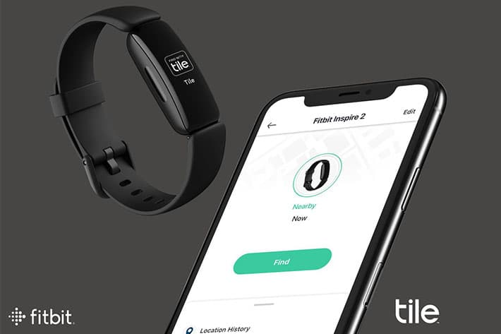 Fitur Fitbit