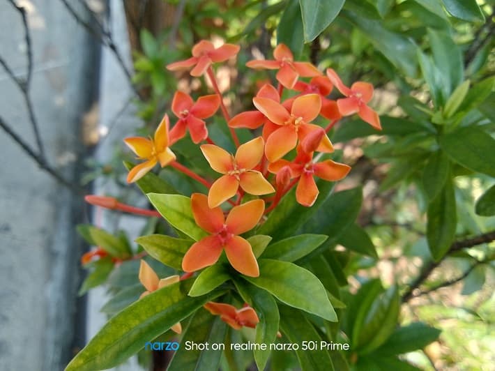 Review realme narzo 50i Prime: Hp Sejutaan dengan Desain Menawan