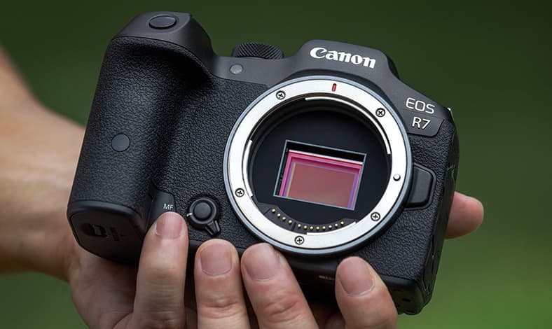 Canon EOS R7 dan EOS R10