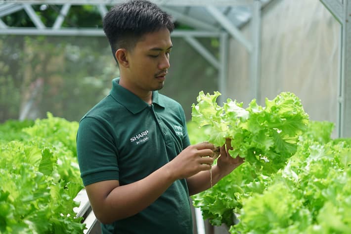 Sharp Hydro Heroes Sukses Ciptakan Petani Muda Berkelanjutan
