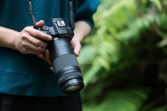 Canon RF75-300mm f/4-5.6
